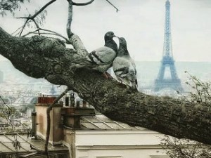 Music: A Christmas in Paris