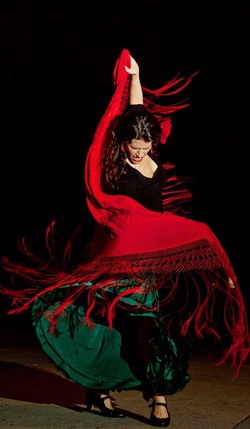 Music: Flamenco Arana