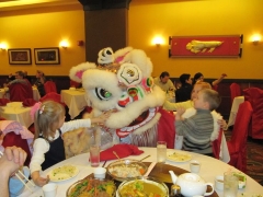 Chinese New Year Celebration