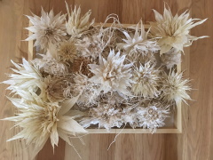 Maki Ishiwata Workshop