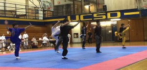 UCSD Martial Arts Demo
