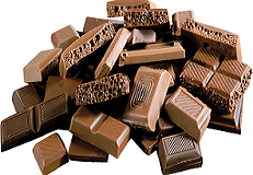 International Chocolate Tasting