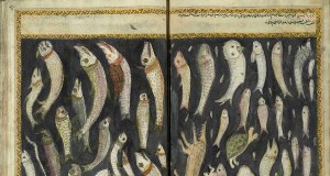 Herring and Lamprey: Fish and Social Status in Medieval Dining