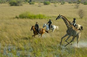 How Best to Tour Africa