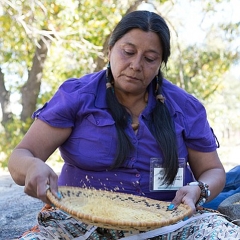 Kumeyaay Ethnobotany: Shared Heritage Of The Californias