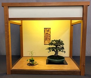 54th Annual Bonsai Spring Show