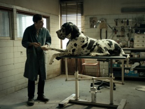 SDIFF Film: Dogman + Short: Cyclamen
