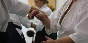Sports: Free Aikido Workshop