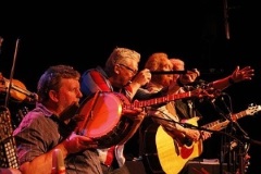 Music: The Irish Rovers