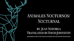 Stage: Animales Nocturnos, Nocturnal