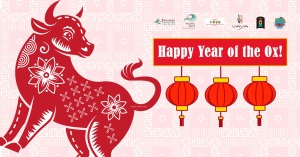 Year of the Ox Lantern Making Workshop