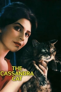 thecassandracat