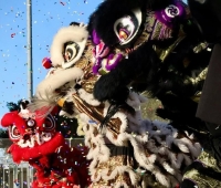 Lunar New Year Lion Dance Performance